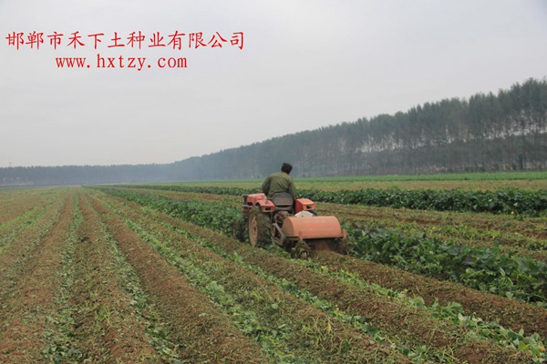 甘薯機(jī)械殺秧