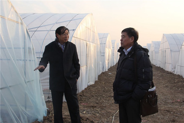 參觀邯鄲市禾下土種業(yè)有限公司脫毒種苗基地