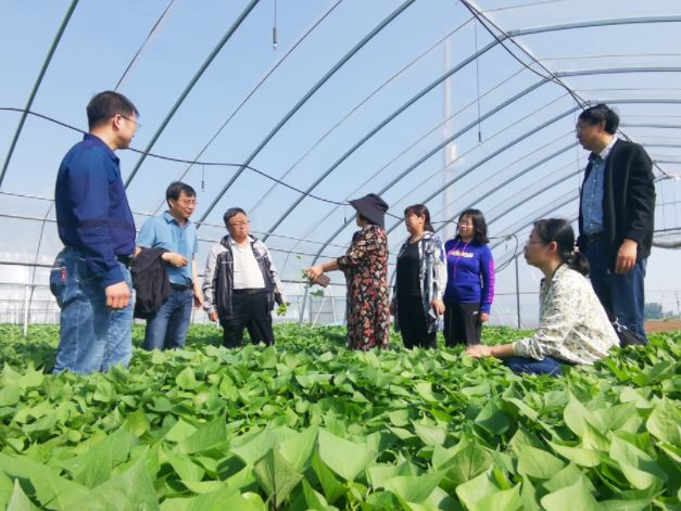 1648166646440847.jpg 2020.3.25.7.JPG