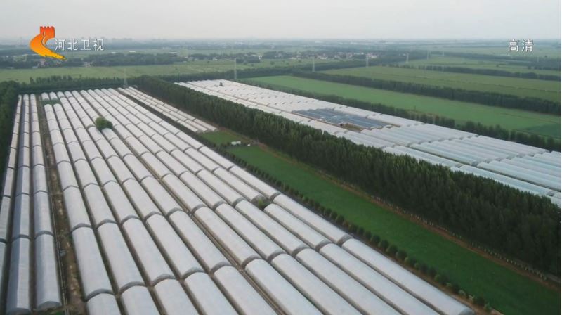 1648169313133155.jpg 2020.3.25.25.JPG