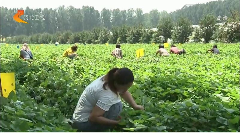 1648169332208904.jpg 2020.3.25.27.JPG