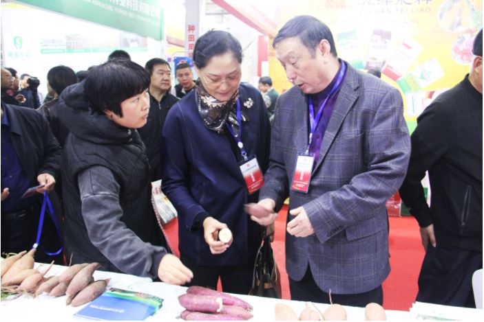 1648172883147720.jpg 2020.3.25.82.JPG