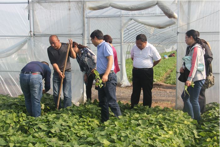 1648174740573414.jpg 2020.3.25.126.JPG