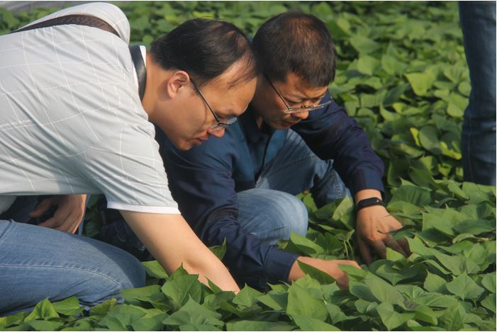 1648174749111837.jpg 2020.3.25.127.JPG