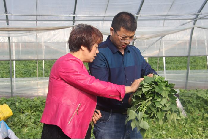 1648174761170675.jpg 2020.3.25.129.JPG