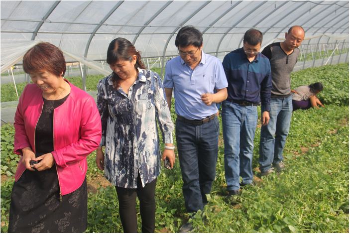 1648174769978141.jpg 2020.3.25.130.JPG