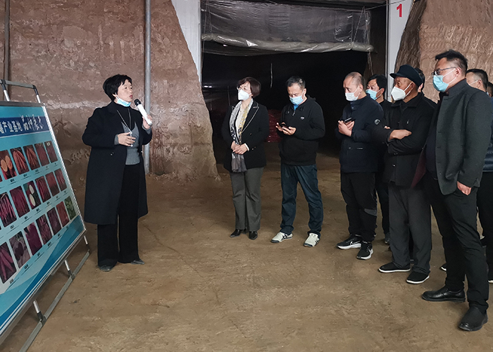 1648436319183696.jpg 圖一.jpg