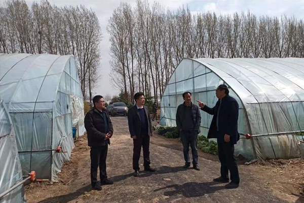 1648601785880243.jpg 圖二.jpg