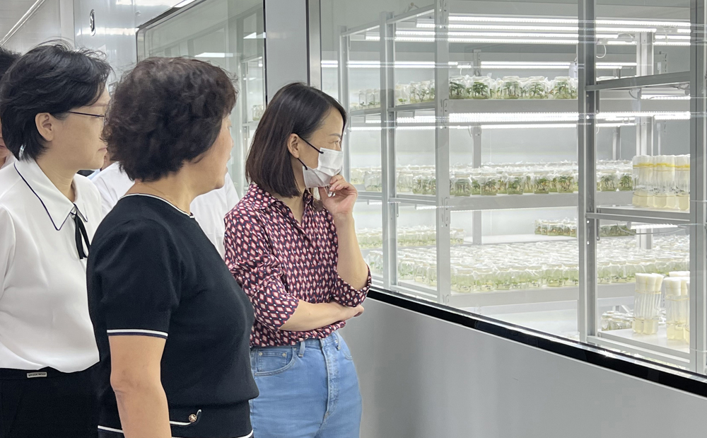 1663577484143352.jpg 微信圖片_202209151059432.jpg