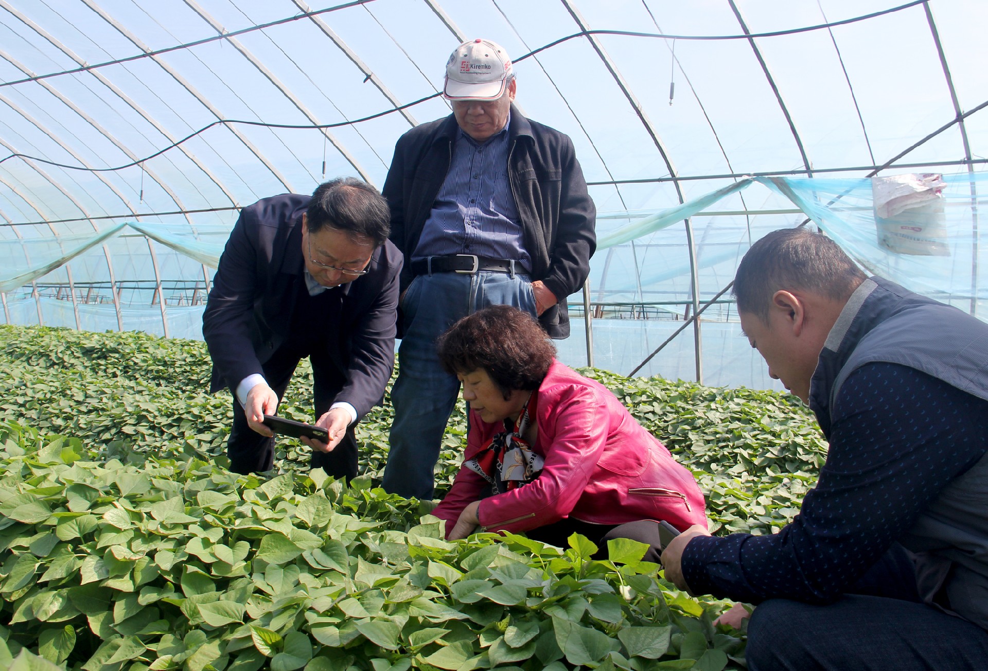 1680947658603004.jpg 12.jpg