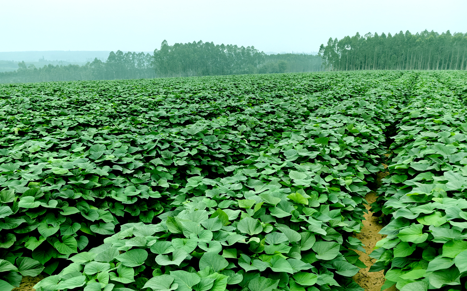 1702087966177540.jpg 46b70e9c3668586277f54a0b8077484.jpg