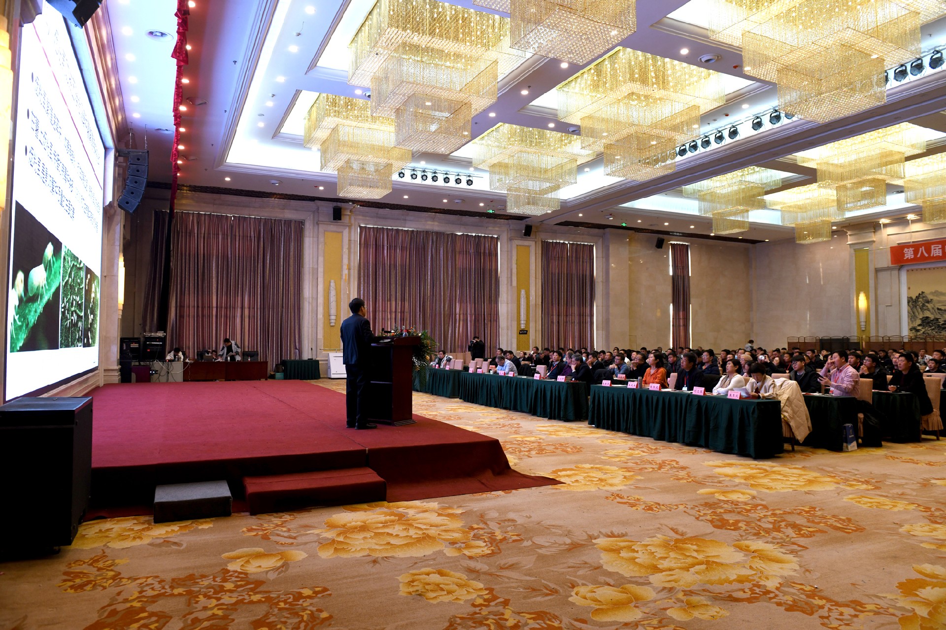 1704787147663813.jpg 90dfca2cd17dd62e868ac55e6790622.jpg