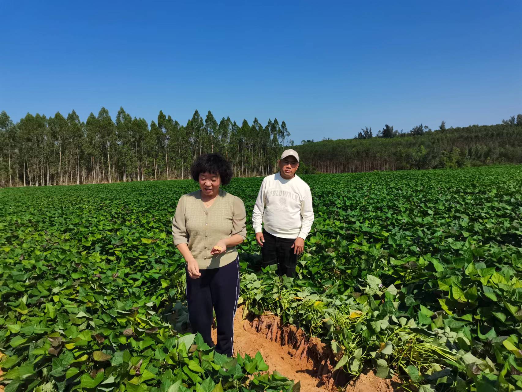 1704932823601441.jpg 1702274880767273.jpg