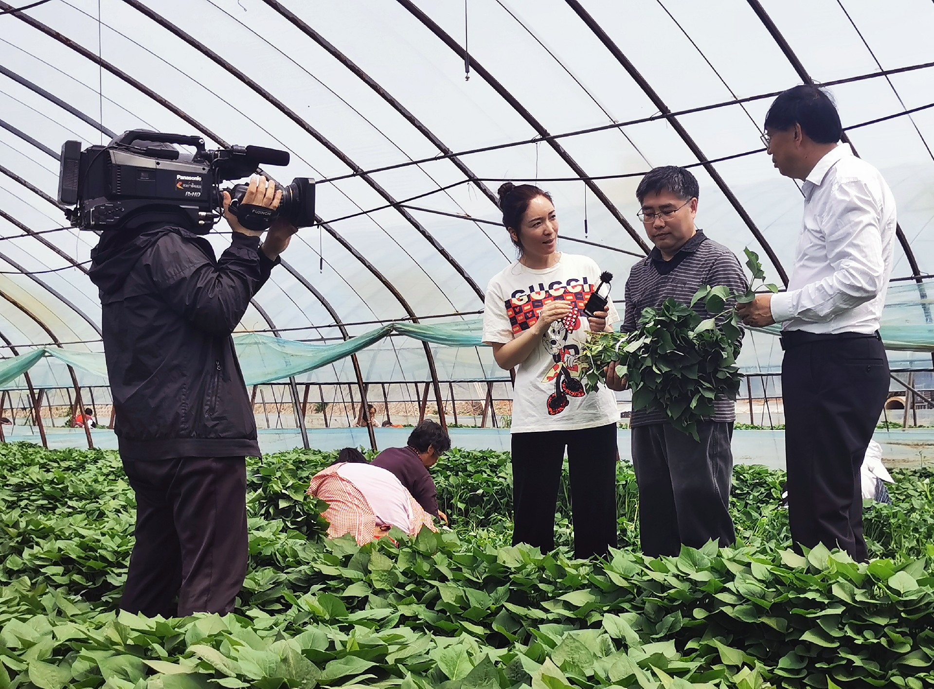 1713349917154222.jpg 8fafc2968b4a556ca1e939e5d537770.jpg