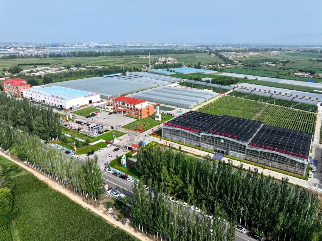 1753777360781308.jpg 640 (2).jpg