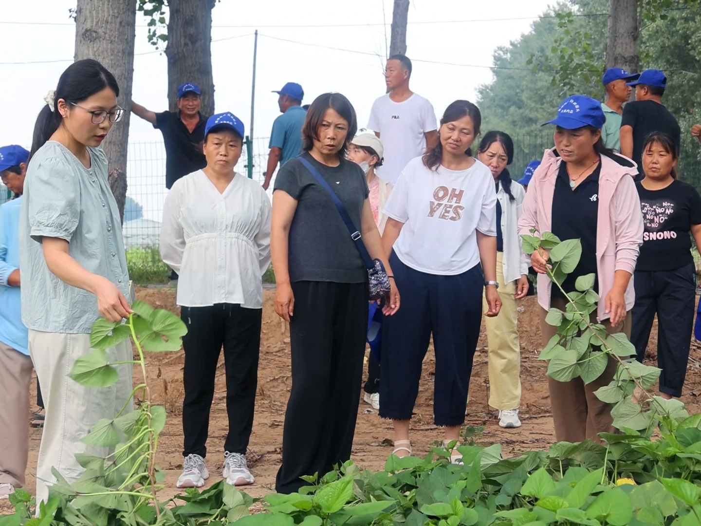 1755763956785677.jpg 微信圖片_20250821160753.jpg