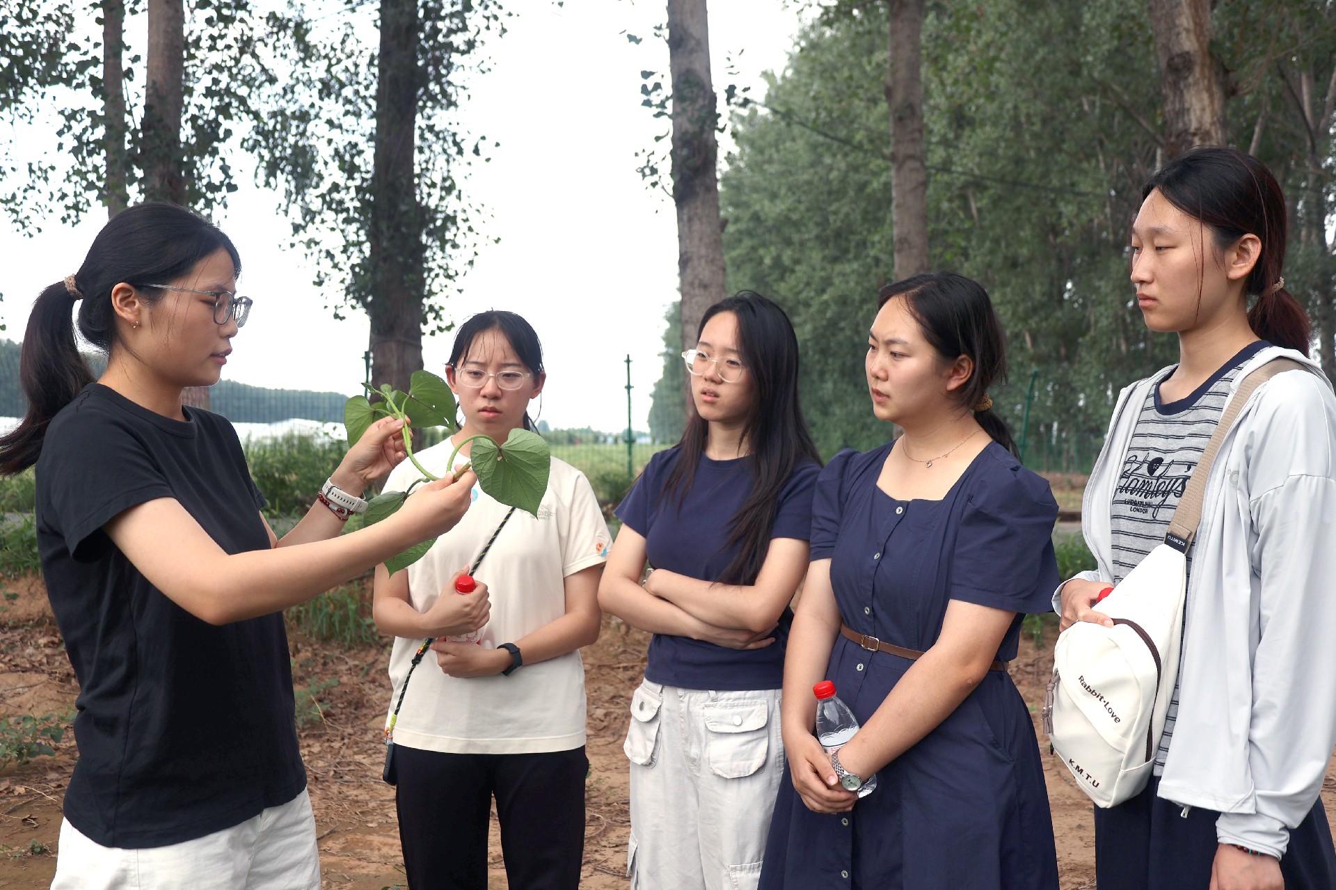 1756021215352299.jpg 微信圖片_20250824152512_14_53.jpg